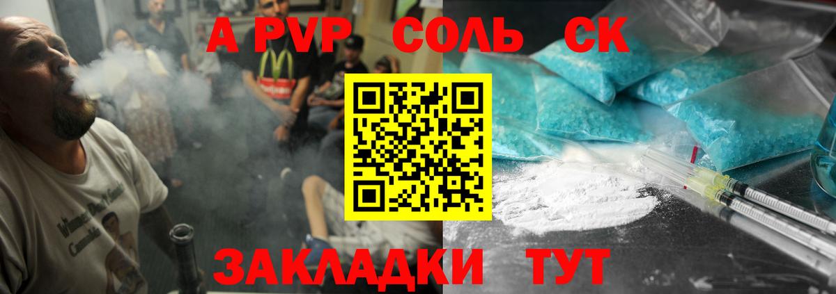Альфа ПВП СК КРИС Малгобек