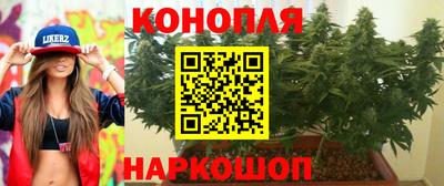винт Донецк