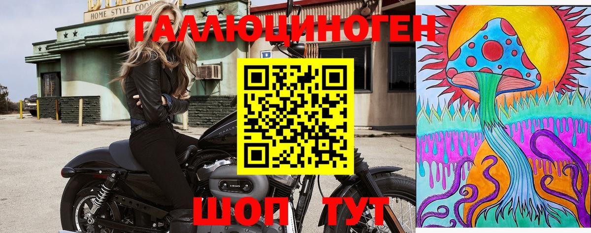 Псилоцибиновые грибы Psilocybine cubensis Малгобек